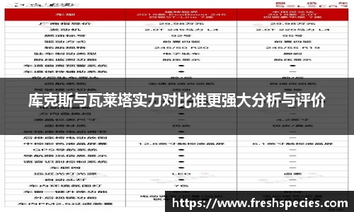 库克斯与瓦莱塔实力对比谁更强大分析与评价