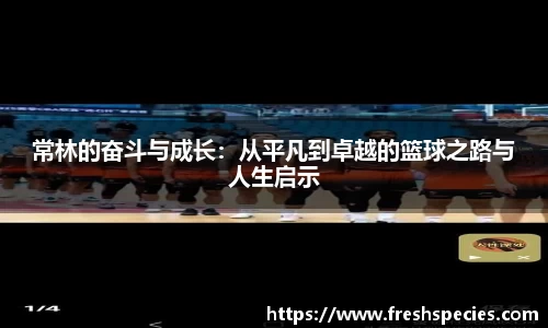 乐玩国际平台